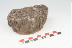 Foto von Stein (NHMW-PRAE-003434e)